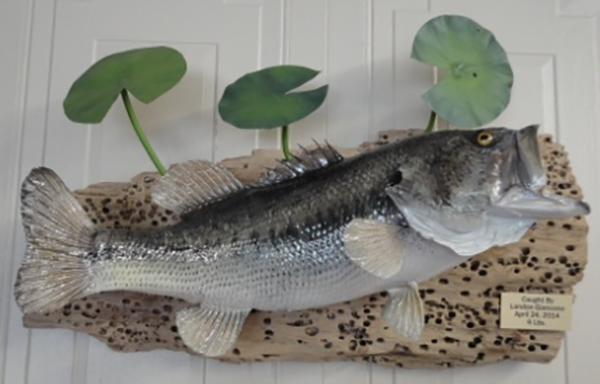Fish and Reptile mounts
